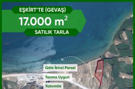 Gevaş’ta Göle Yakın 17 Dönüm Tarla