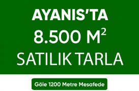 AYANIS’TA 8500 m² Yatırımlık Tarla