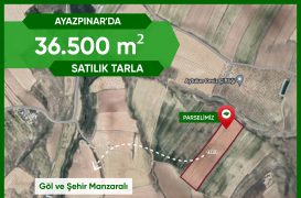 AYAZPINAR’TA 36.500 m² Satılık Tarla