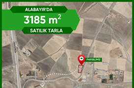 ALABAYIR’DA 3185 m² Satılık Tarla