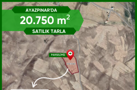 AYAZPINAR’DA Yolu Açık 20.750 m² Satılık Tarla